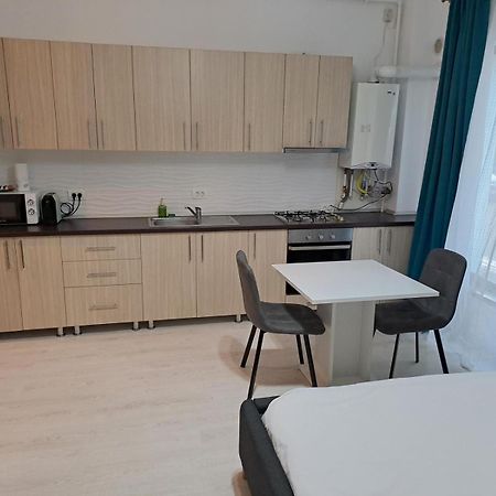 Visaj Residence Timisoara Bagian luar foto